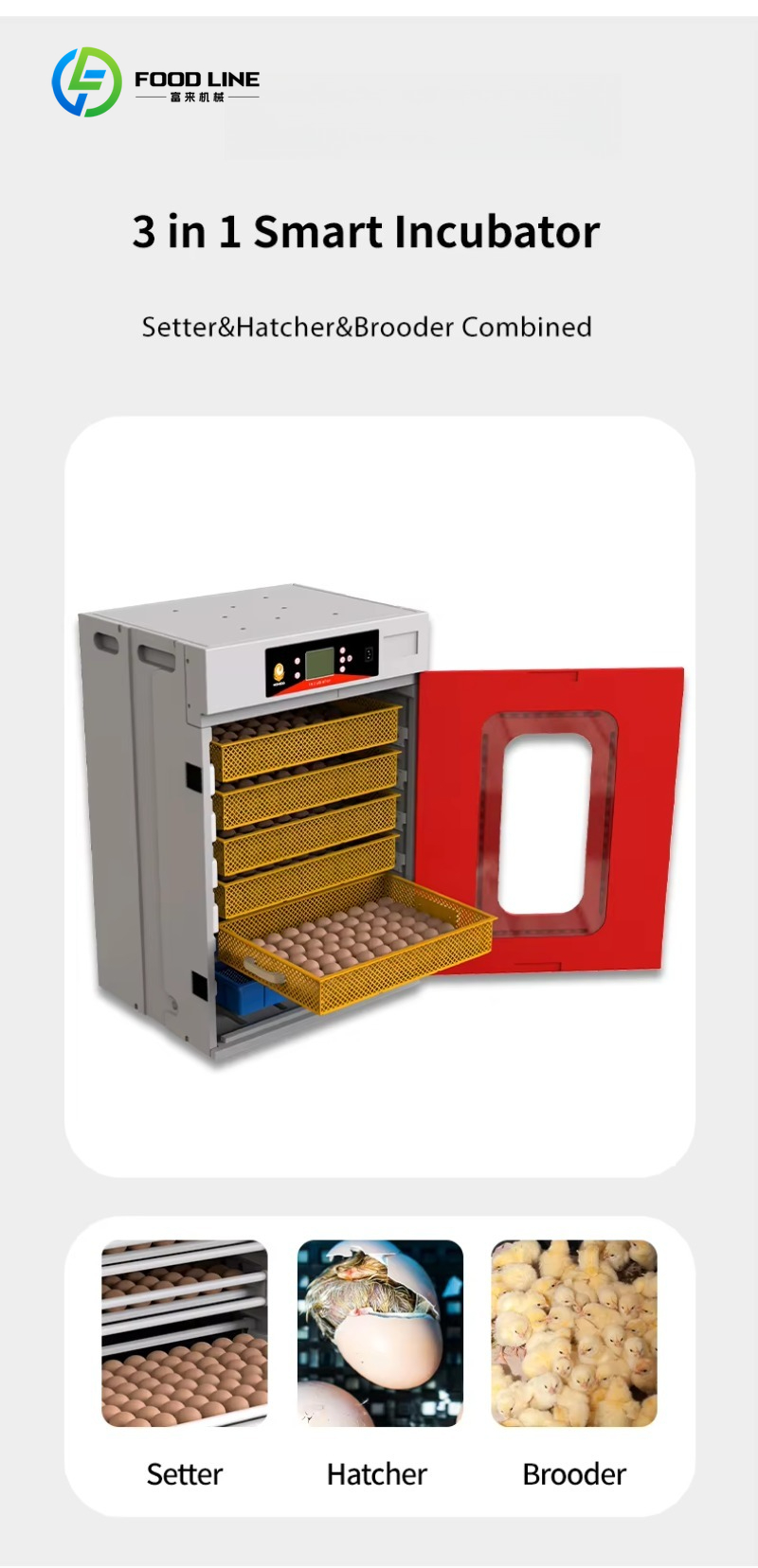 New Quail Chicken Incubator 50 - Rotary Bakery Oven recension och pris